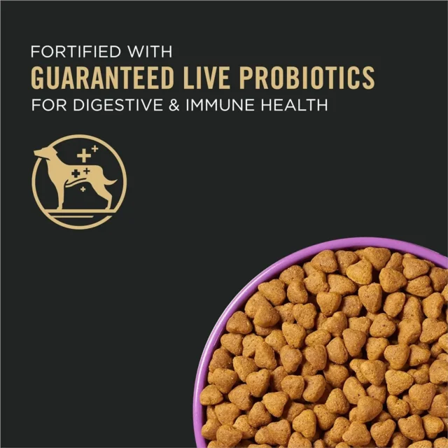 New High Energy, High Protein Dog Food - Image 2