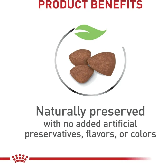 Premium Healthy Small Puppy Dog Dry Food - Image 3