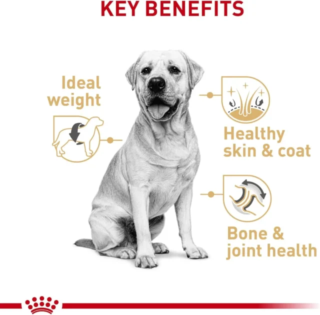 Royal Canin Labrador Retriever Adult Dry Dog Food - Image 4