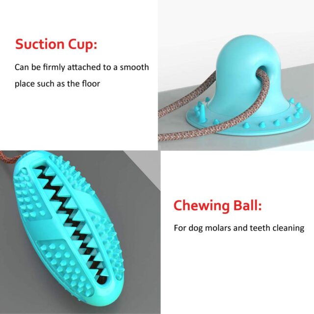 Biting Toy for Dogs - Image 4