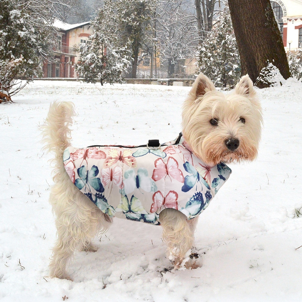 Waterproof Winter Dog Vest