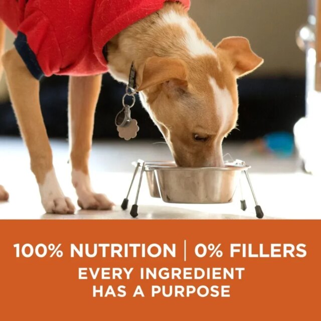 Dogs Snacks Supplies Pet Products Healthy Weight Dog Food - Image 2