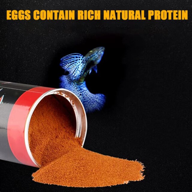 High Protein Nutrients Fish Feeding - Image 5