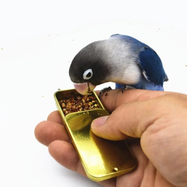 Bird Training Food Jar Parrot Handheld Feeder - Image 3