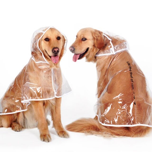 New Transparent Autumn Dog Raincoat - Image 4