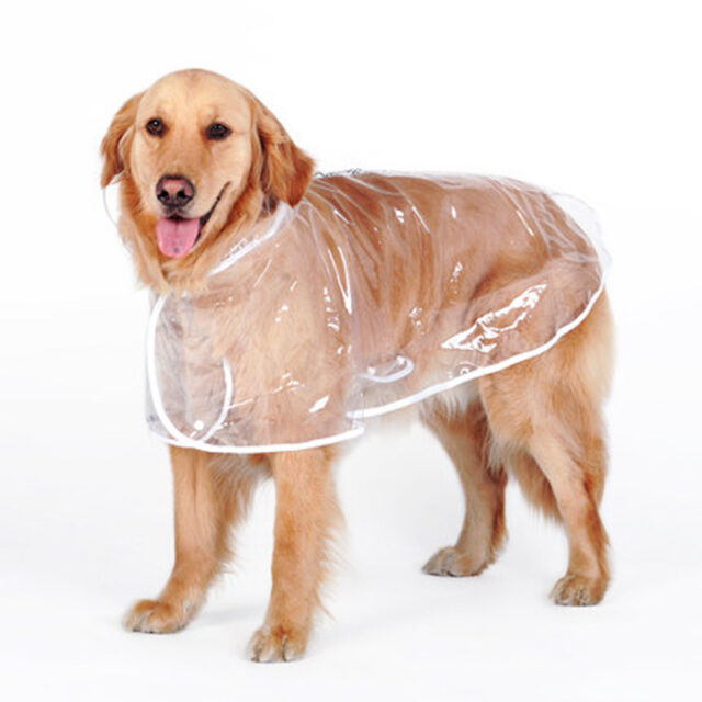 New Transparent Autumn Dog Raincoat - Image 3