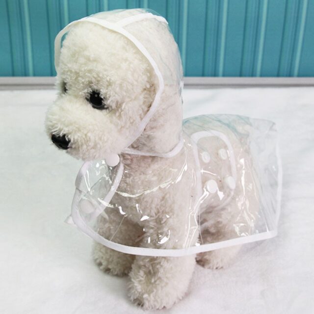 New Waterproof Transparent Dog Raincoat