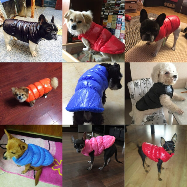 New Warm Down Coat for Dogs - Image 6