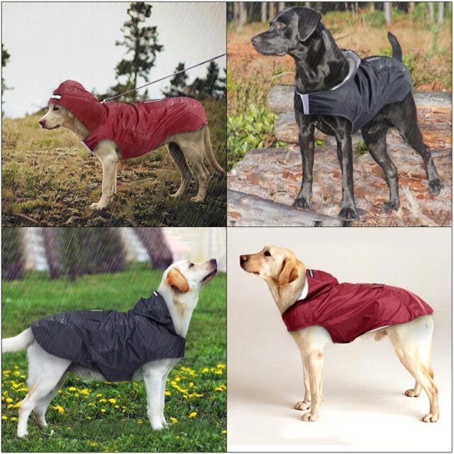 Dog's Reflective Waterproof New Raincoat - Image 6