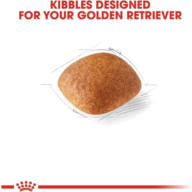 Royal Canin Golden Retriever Adult Dry Dog Food - Image 2