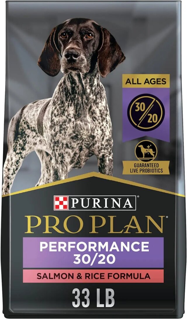 New High Energy, High Protein Dog Food