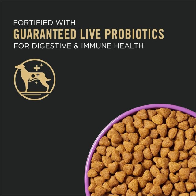 New High Energy, High Protein Dog Food - Image 5