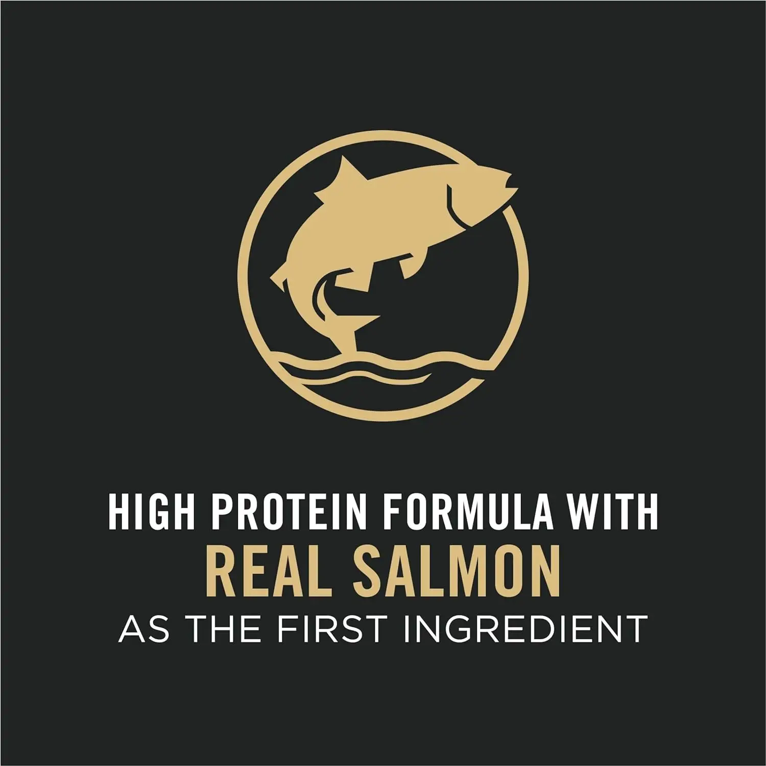 New High Energy, High Protein Dog Food