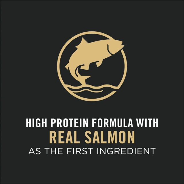 New High Energy, High Protein Dog Food - Image 7